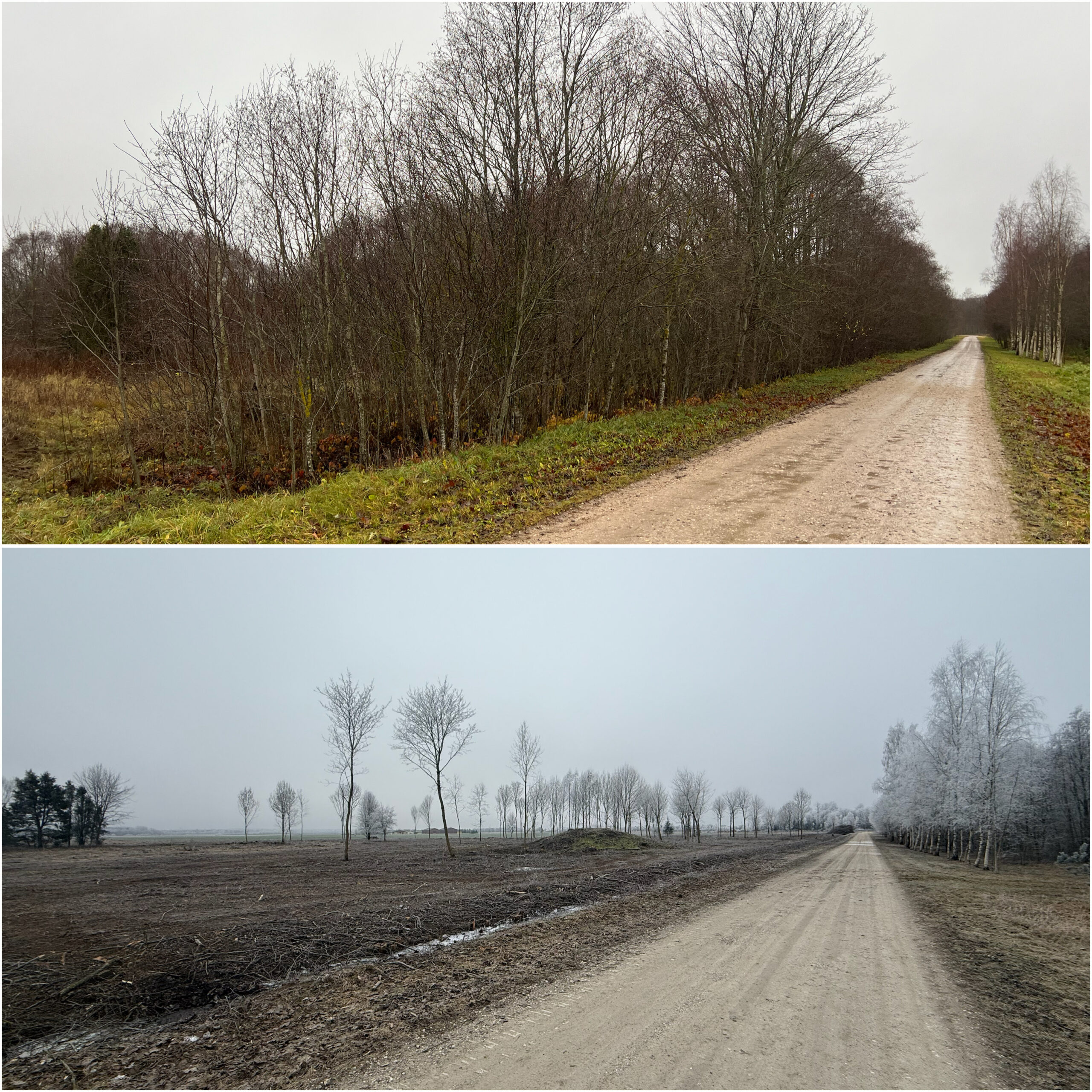 created by photogrid
